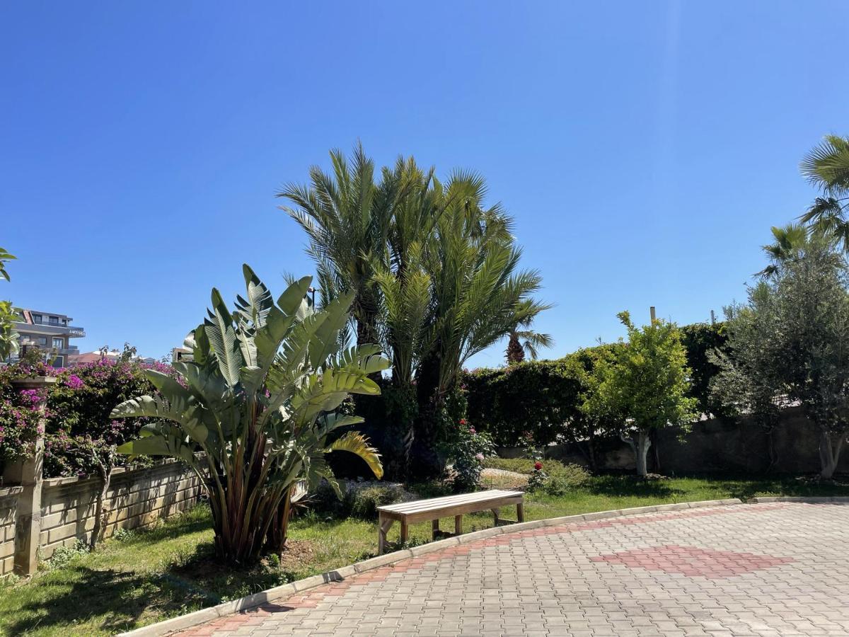 Sa Apartments! 300M To The Beach Alanya Dış mekan fotoğraf