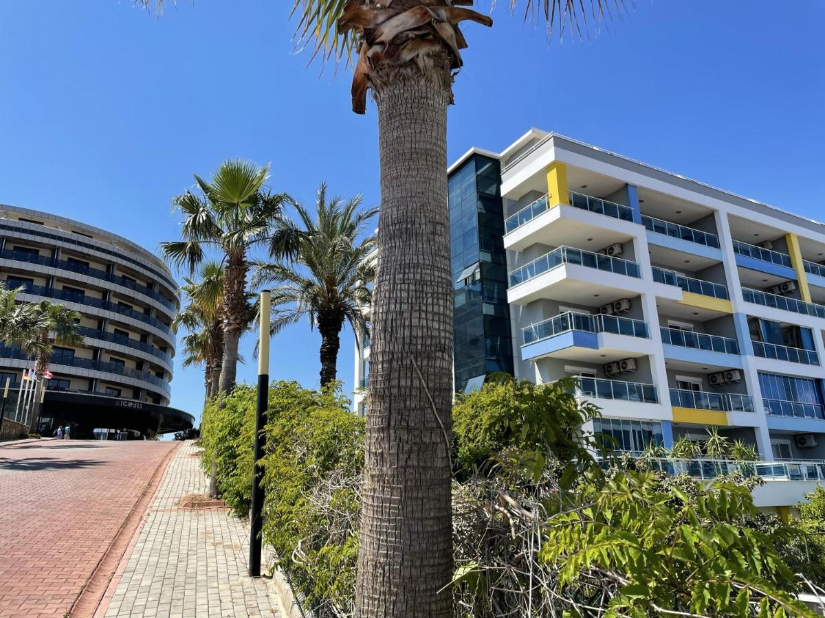 Sa Apartments! 300M To The Beach Alanya Dış mekan fotoğraf